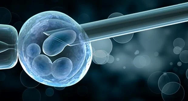 BB Life Surrogacy - Benefits of the PGT Method
