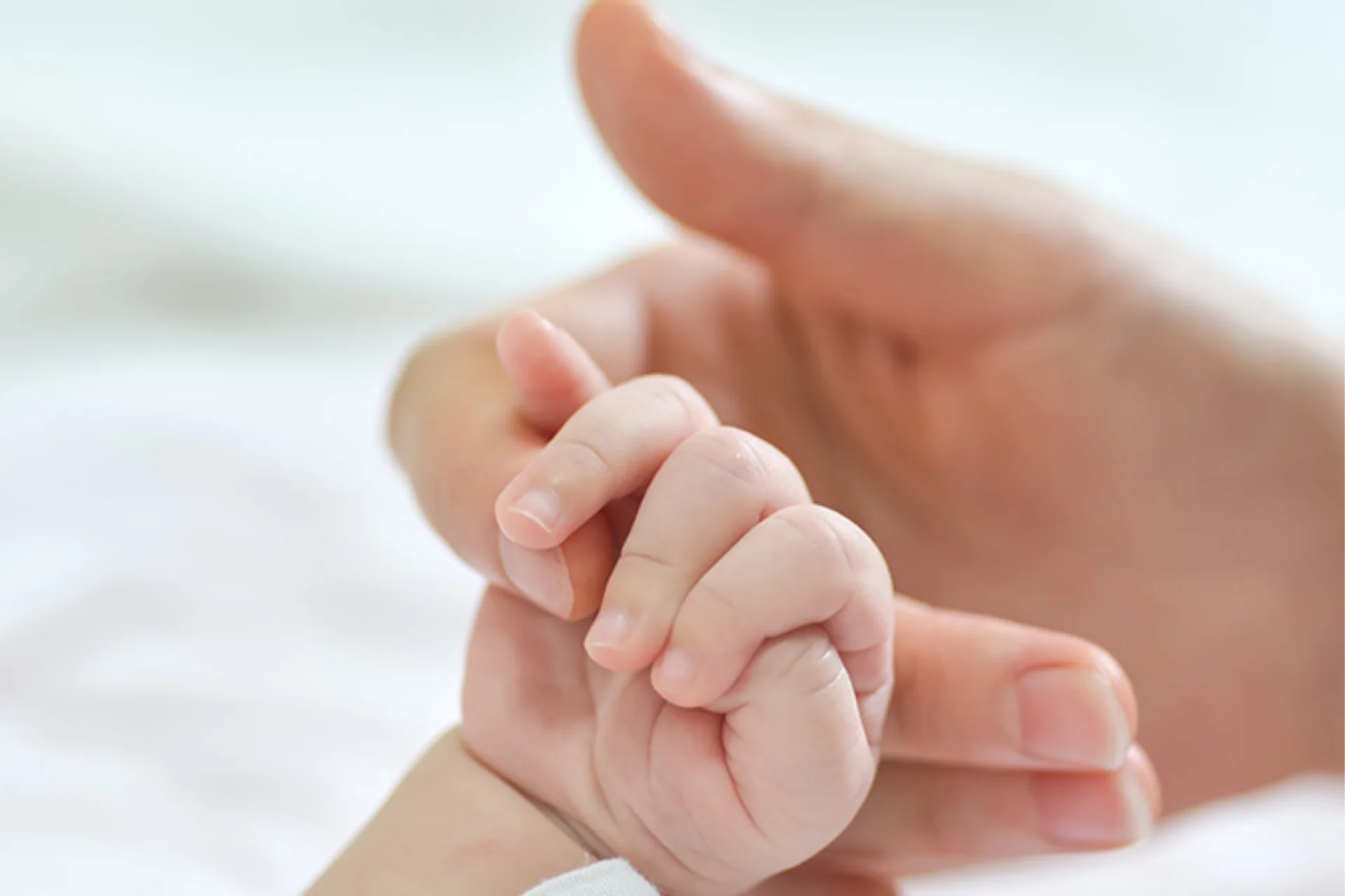 Legal Actions and Procedures in Surrogacy
